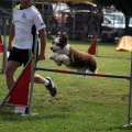 Prueba de agility