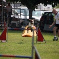 Prueba de agility