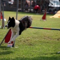 Prueba de agility