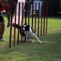 Prueba de agility