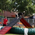 Prueba de agility