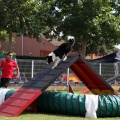 Prueba de agility