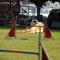 Prueba de agility