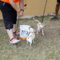 Prueba de agility