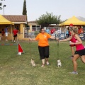 Prueba de agility