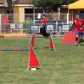 Prueba de agility