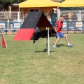 Prueba de agility