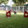 Prueba de agility