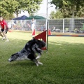 Prueba de agility