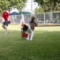 Prueba de agility