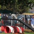 Prueba de agility