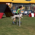 Prueba de agility