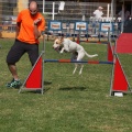 Prueba de agility