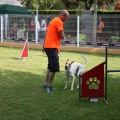 Prueba de agility