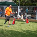 Prueba de agility