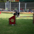 Prueba de agility