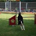 Prueba de agility