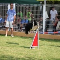 Prueba de agility