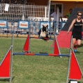 Prueba de agility