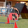 Prueba de agility