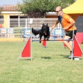 Prueba de agility