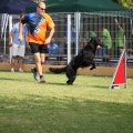 Prueba de agility