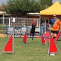 Prueba de agility