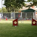 Prueba de agility