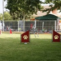 Prueba de agility