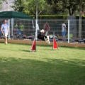 Prueba de agility