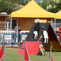 Prueba de agility