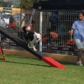 Prueba de agility