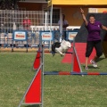 Prueba de agility