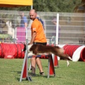 Prueba de agility