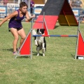 Prueba de agility