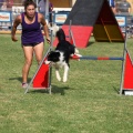 Prueba de agility