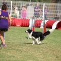 Prueba de agility