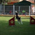 Prueba de agility