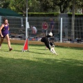 Prueba de agility