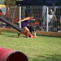 Prueba de agility