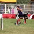 Prueba de agility