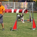 Prueba de agility