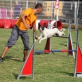 Prueba de agility