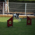 Prueba de agility