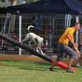 Prueba de agility