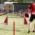 Prueba de agility