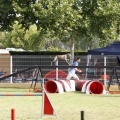 Prueba de agility