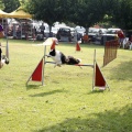 Prueba de agility