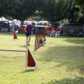 Prueba de agility