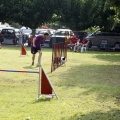 Prueba de agility